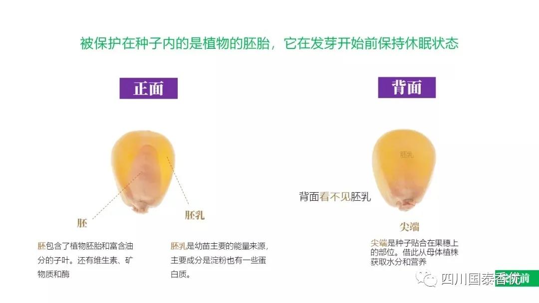微信图片_20210629151443.jpg
