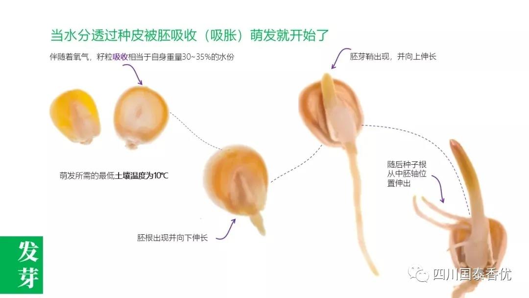 微信图片_20210629151449.jpg