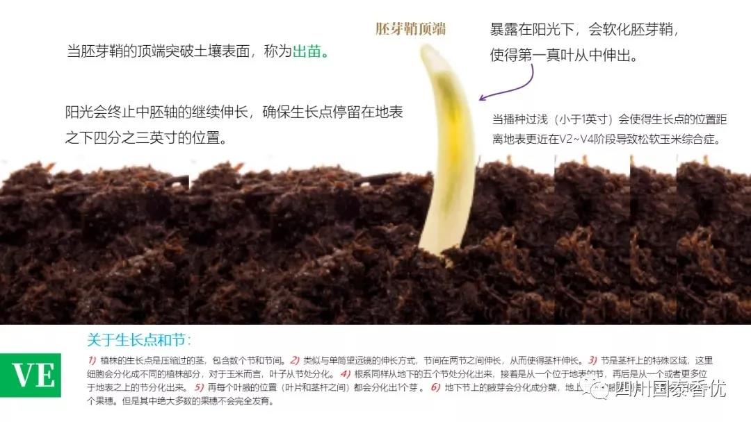 微信图片_20210629151459.jpg