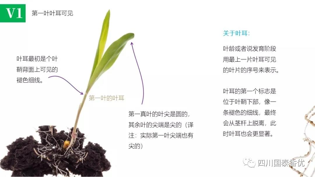 微信图片_20210629151508.jpg
