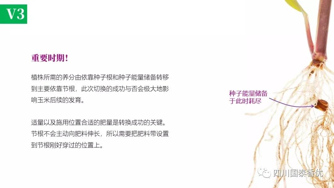 微信图片_20210629151524.jpg