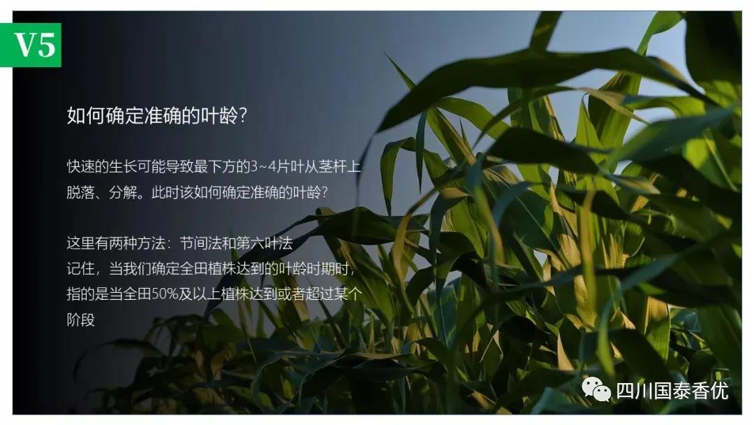 微信图片_20210629151536.jpg