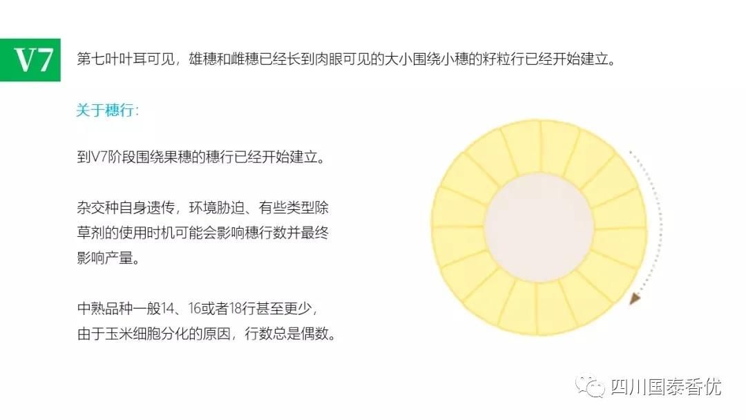 微信图片_20210629151551.jpg
