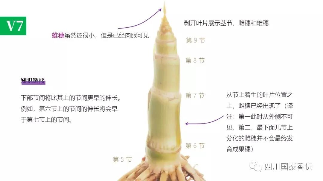 微信图片_20210629151554.jpg